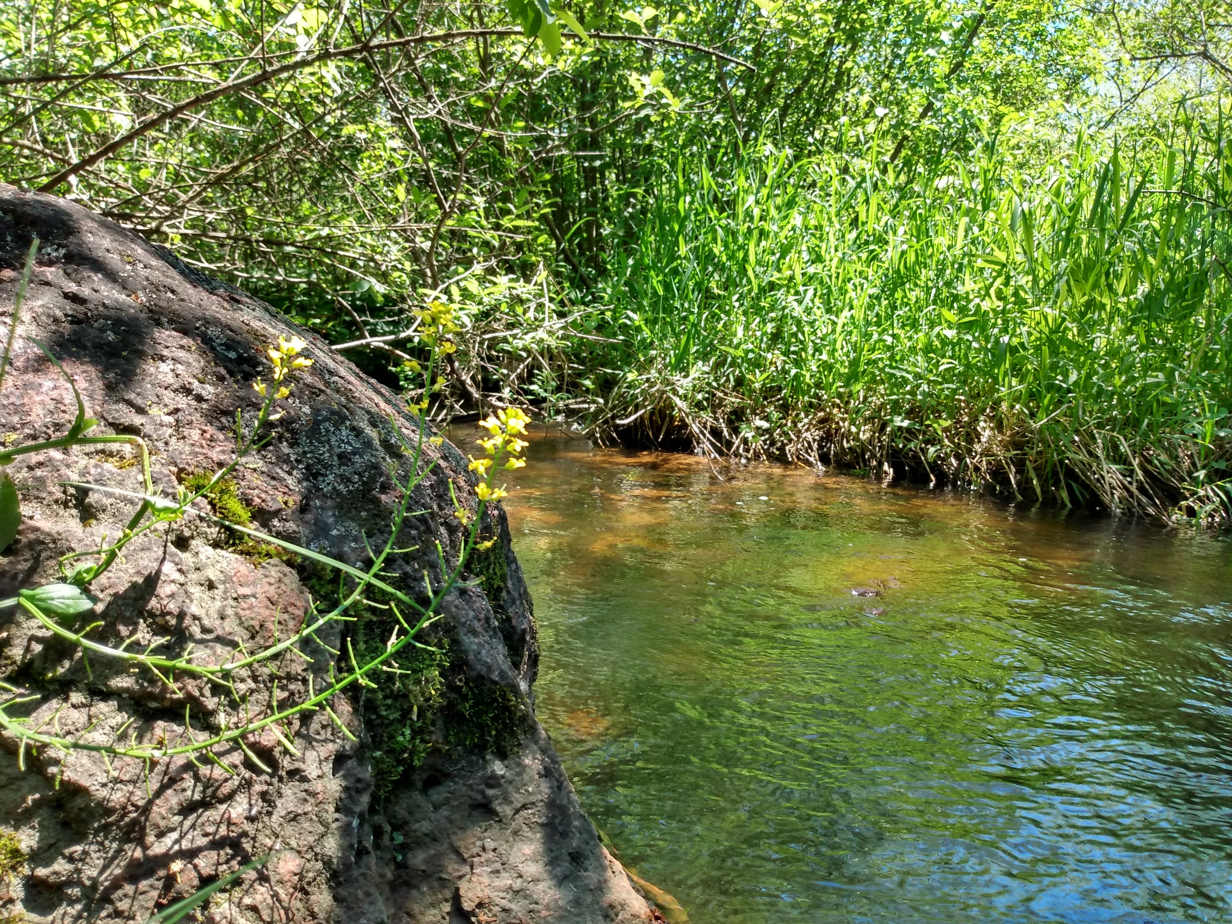 riveredge 3