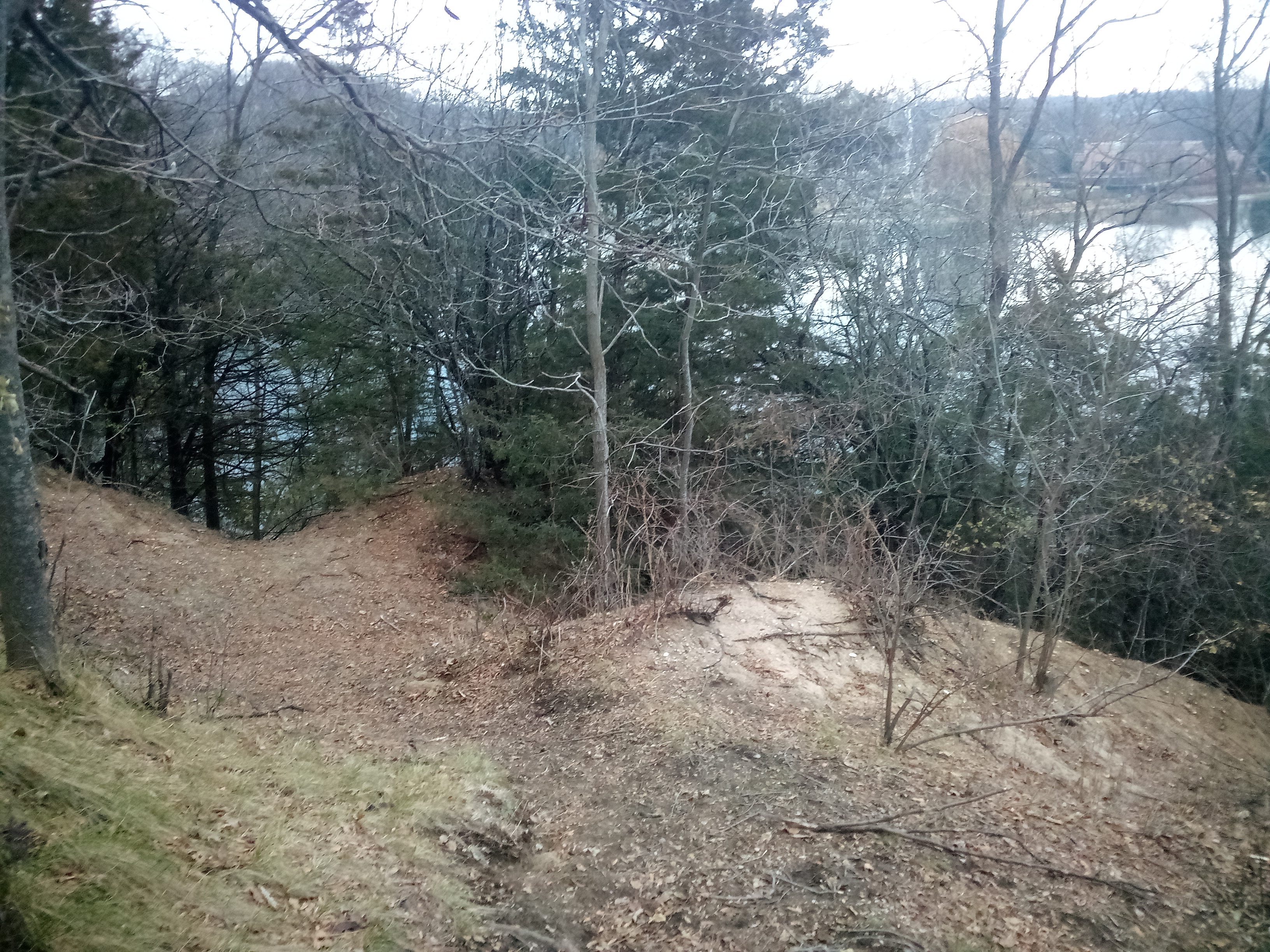 sna poems, series anthropocenum # 22: lions park/lions pond | Jacob Riyeff